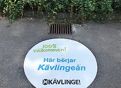 Klistermärke med texten "Kävlingeån börjar här" vid dagvattenbrunn.