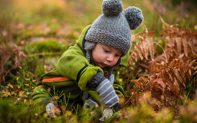 Litet barn på marken i skogen under hösten som utforskar mossa och löv.